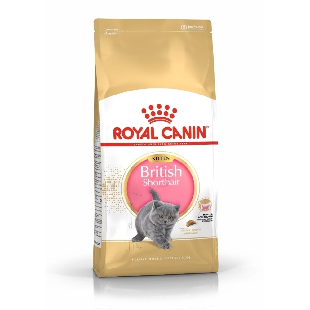 Sac de croquettes Royal Canin Kitten British Shorthair avec un motif de chaton.