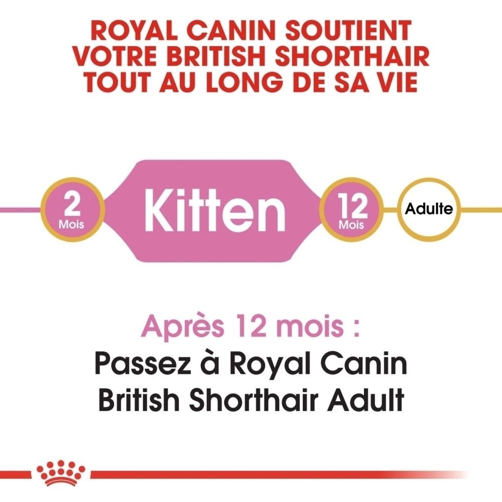 Royal Canin: De 2 mois Kitten à 12 mois Adulte pour British Shorthair.