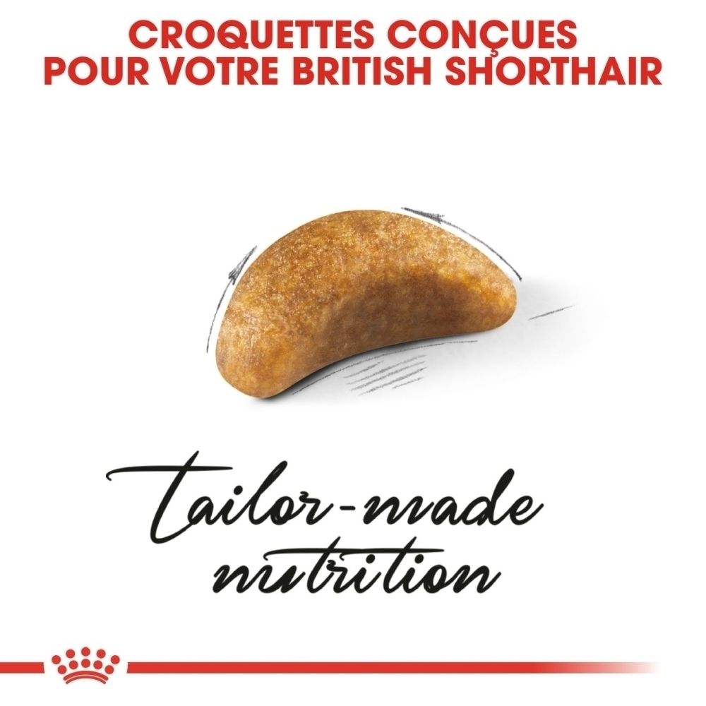 Une croquette pour chats British Shorthair, de couleur brune et de forme ovale.