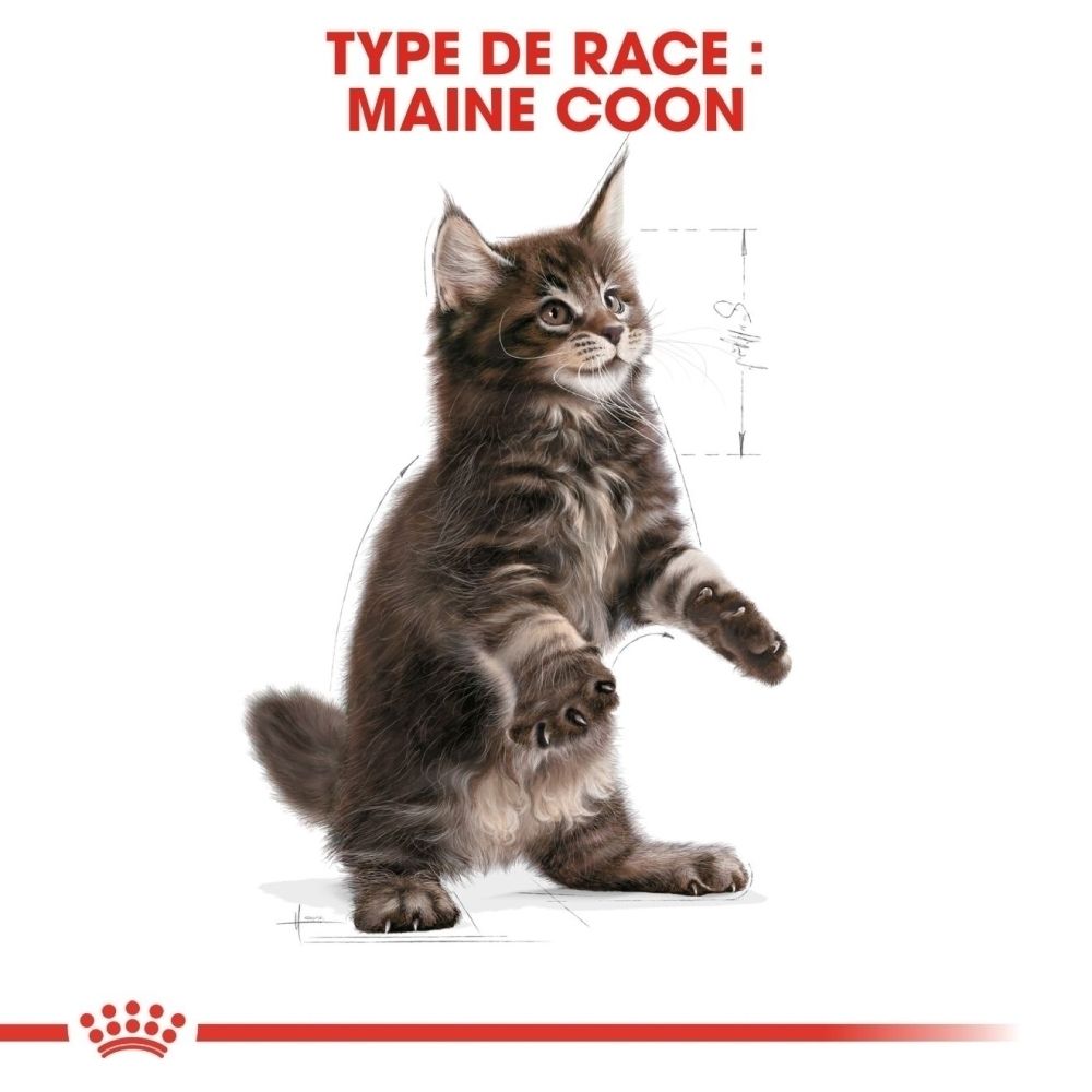 Infographic met drie iconen: groeiend kitten, spijsverteringsstelsel, kitten met schild. Tekst: "Gezonde en lange groeifase", "Gezonde spijsvertering", "Ondersteunt de natuurlijke afweer".