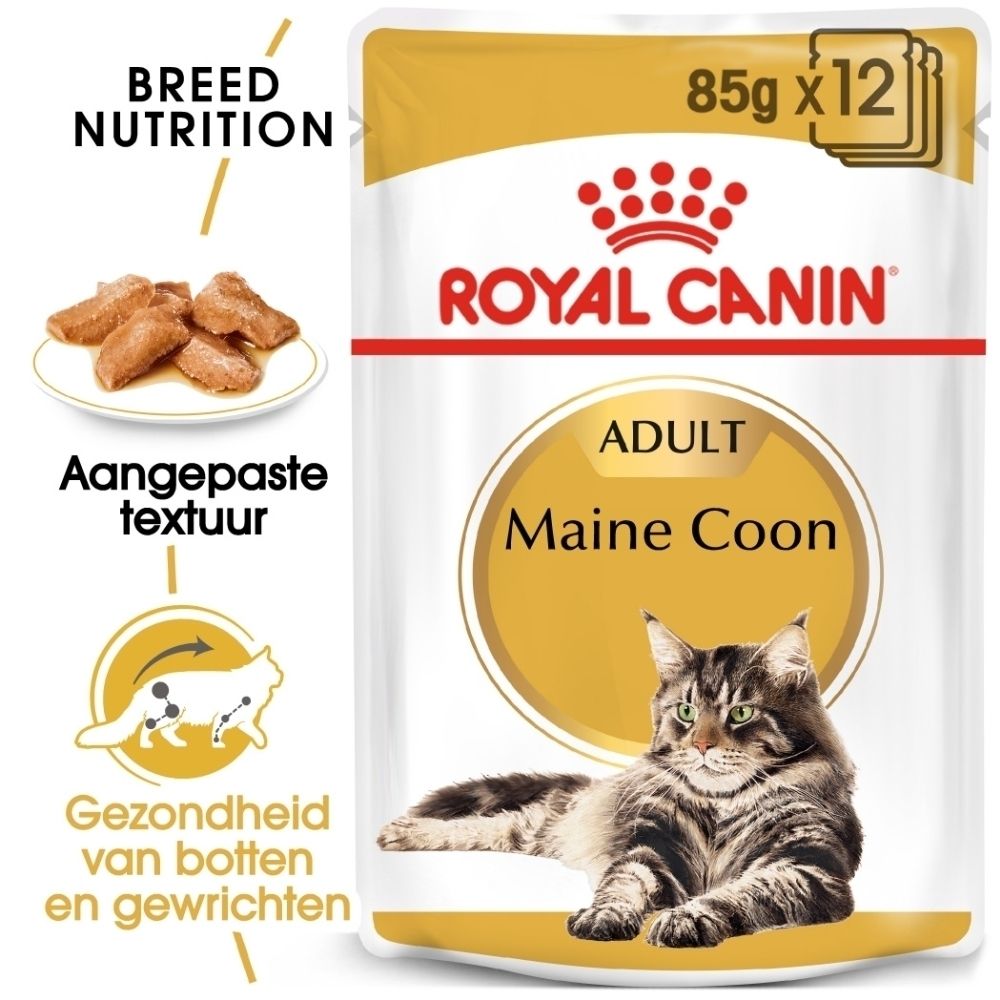 Royal Canin Maine Coon Adult kattenvoer zakje met kattenafbeelding en brokjes.