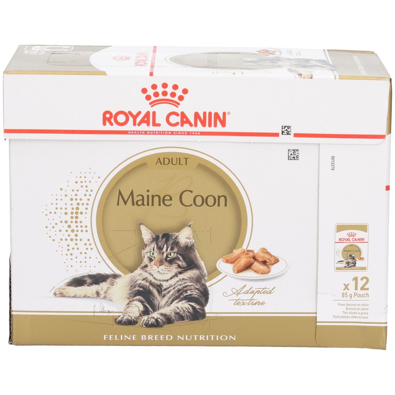 Boîte de nourriture Royal Canin Maine Coon, 12 sachets de 85g, avec image de chat et croquettes.