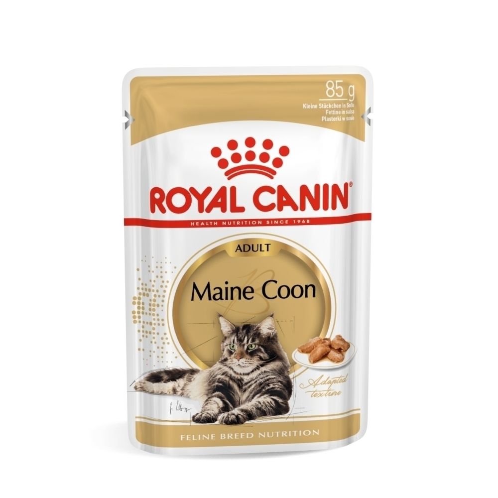 Royal Canin Maine Coon Adult kattenvoer zakje met kattenafbeelding en brokjes.