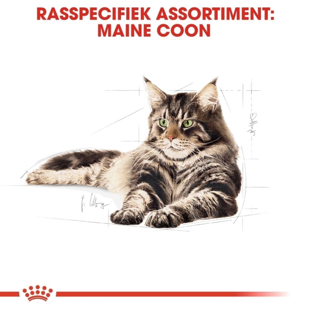 Royal Canin Maine Coon kattenvoer zakje met illustraties over gezondheid en textuur.