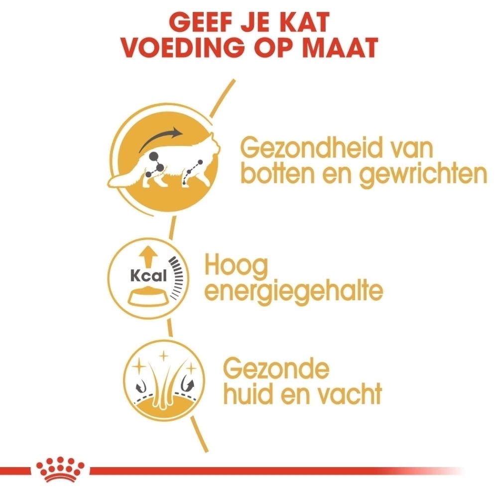 Royal Canin Maine Coon kattenvoer zakje met illustraties over gezondheid en textuur.