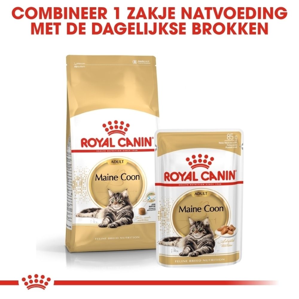 Royal Canin Maine Coon kattenvoer zakje met illustraties over gezondheid en textuur.