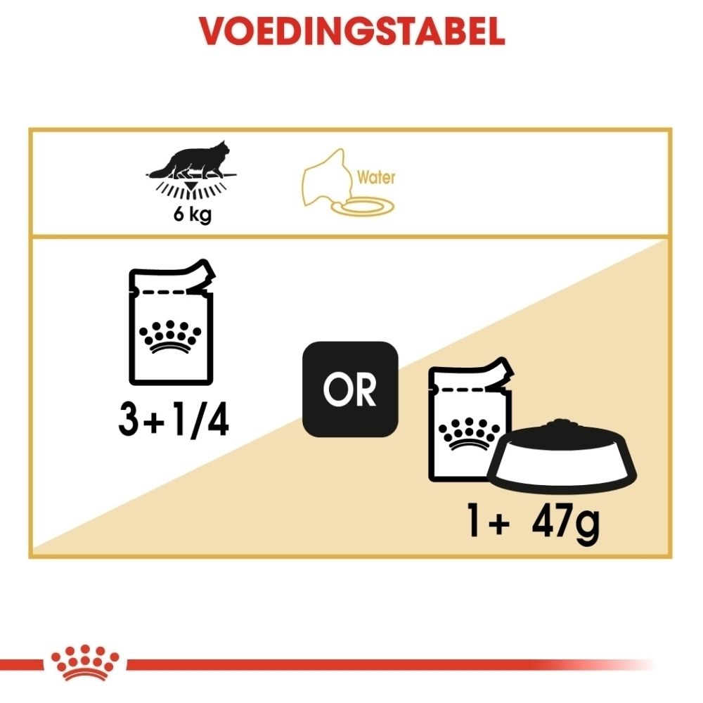 Royal Canin Maine Coon kattenvoer zakje met illustraties over gezondheid en textuur.