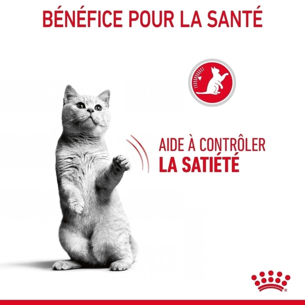 Een kat staat rechtop en kijkt omhoog. Tekst: 'Gezondheidsvoordeel'.