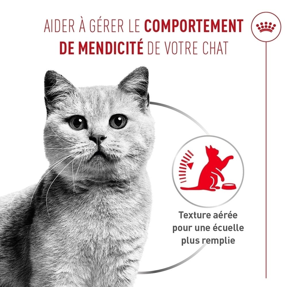 Grijze kater kijkt naar voren. Naast rode grafiek van kat met voer en tekst over textuur.