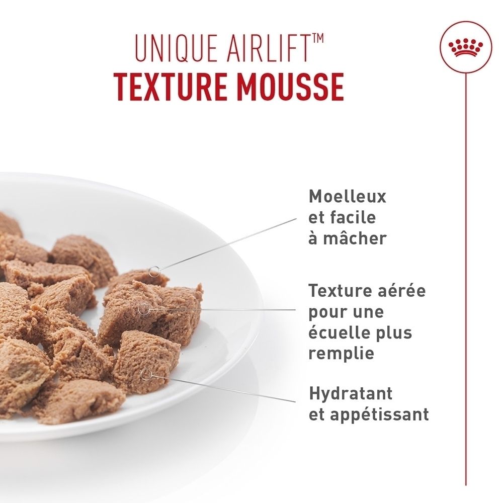 Kleine, bruine, kubusvormige stukjes op een wit bord met een luchtige mousse textuur.