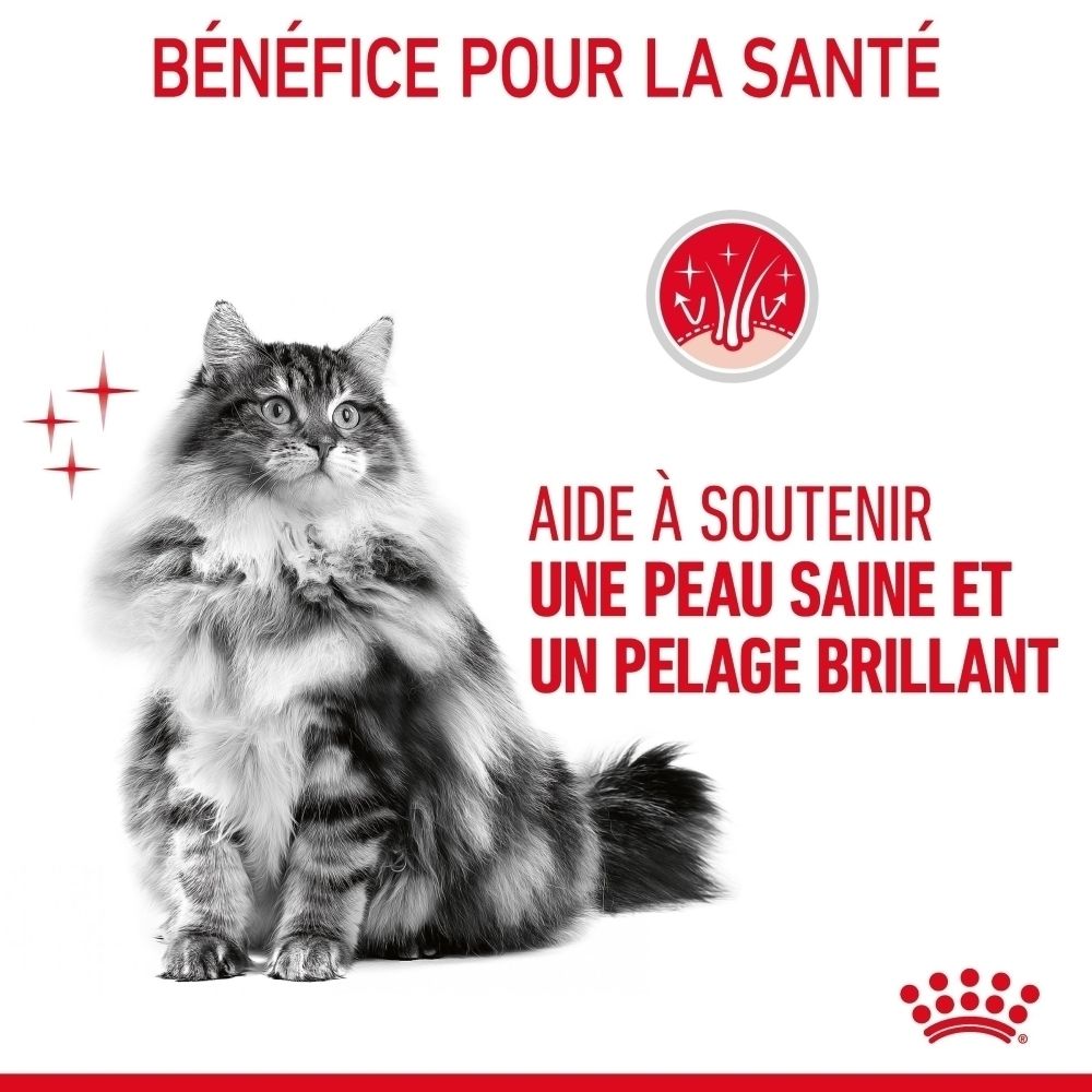 Een kat met glanzende vacht en een symbool voor gezonde huid en vacht.
