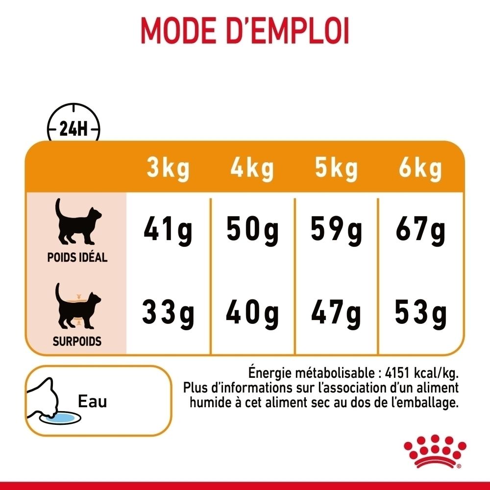 Voedingstabel voor katten: gewicht, ideale en te zware katten voedingsadvies, energiegehalte.