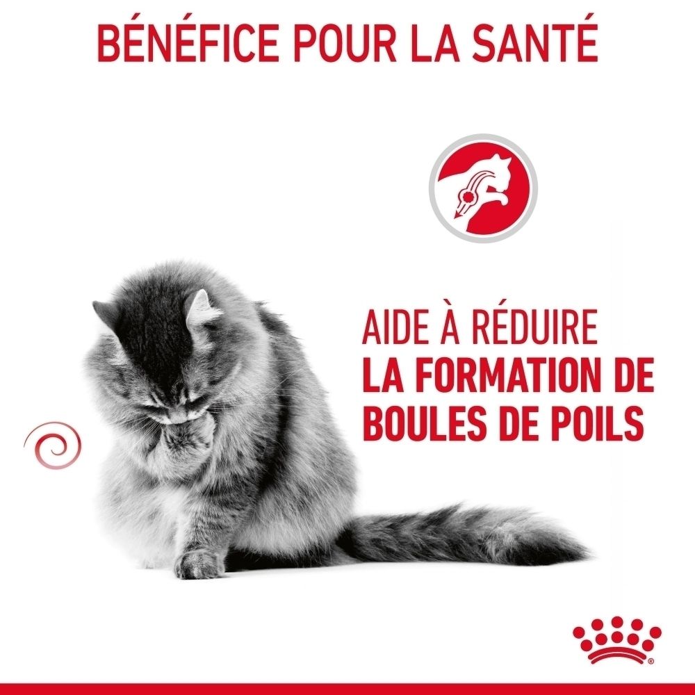 Chat gris avec symbole de boule de poils. Texte : Aide à réduire la formation de boules de poils.