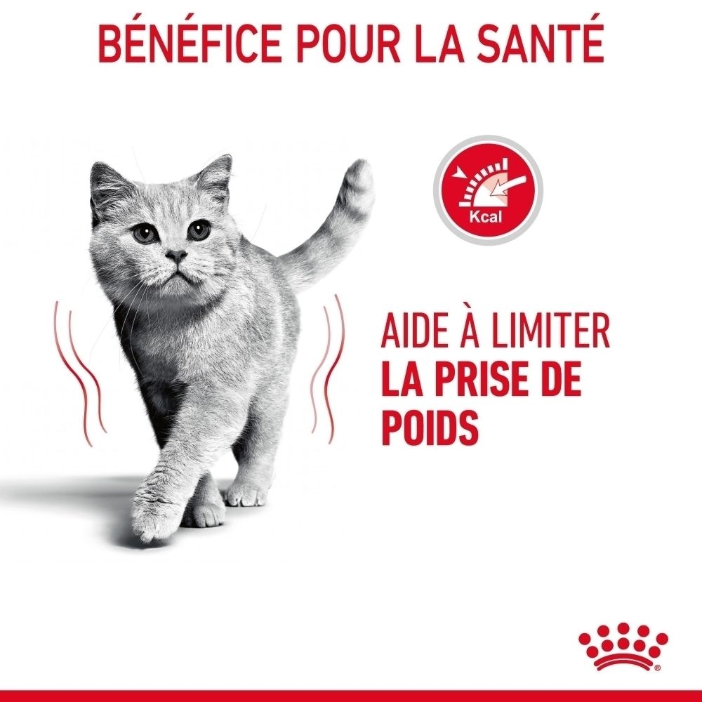 Royal Canin Light Weight Care : Constituants analytiques : Protéines, matières grasses, cendres et fibres.