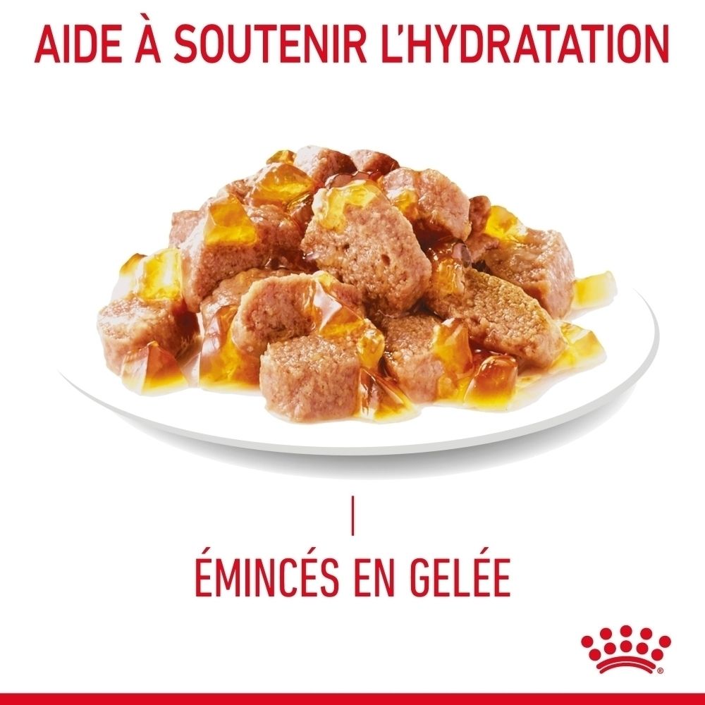 Kleine stukjes vlees in gelei op een bord.