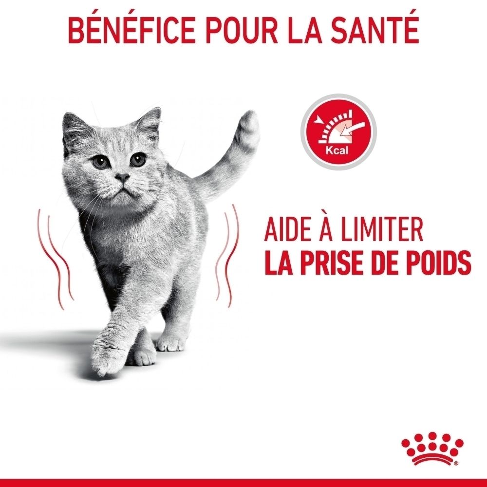 Grijze kat met rood Kcal-symbool en tekst die aangeeft dat het helpt gewichtstoename te beperken.