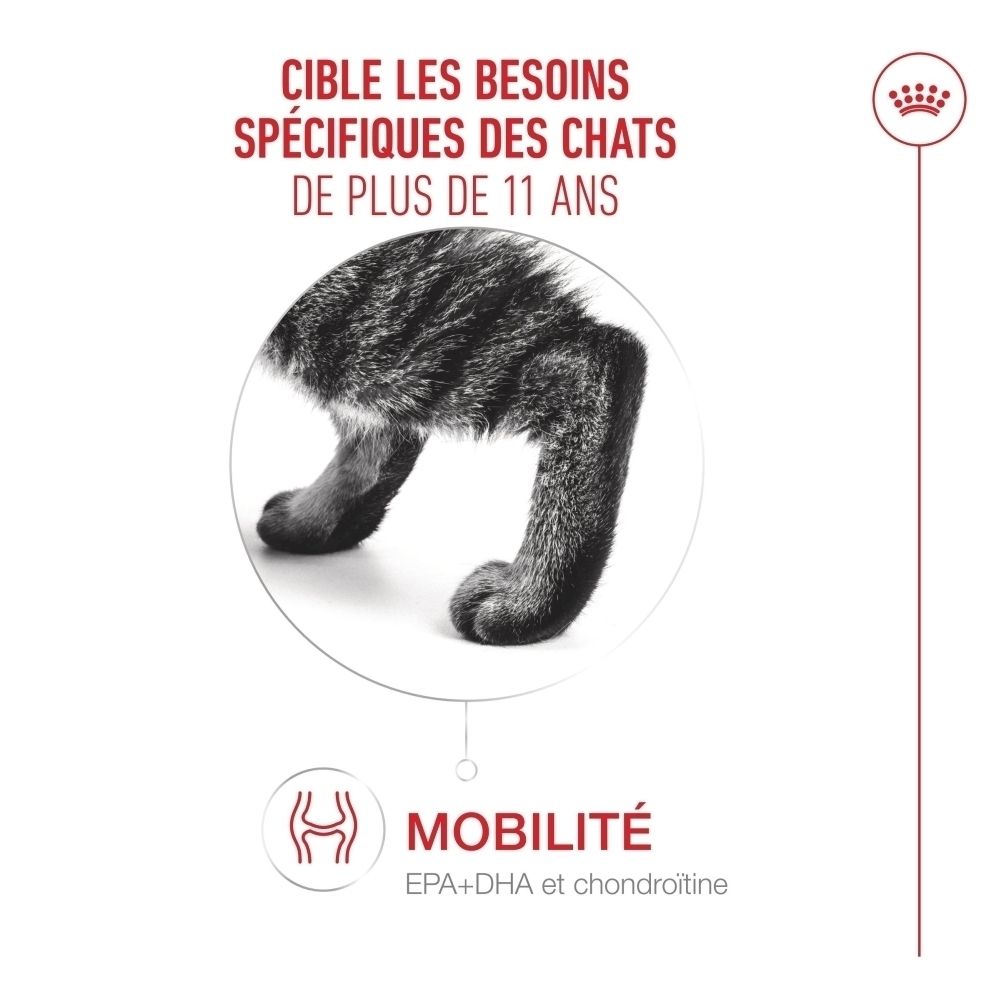 Royal Canin 11+ : Cible les besoins spécifiques des chats de plus de 11 ans.