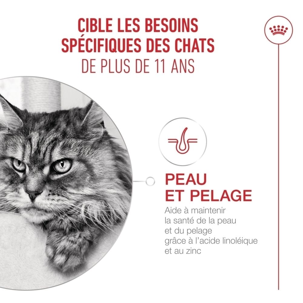 Royal Canin 11+ : Mobilité, EPA+DHA et chondroïtine pour les articulations.