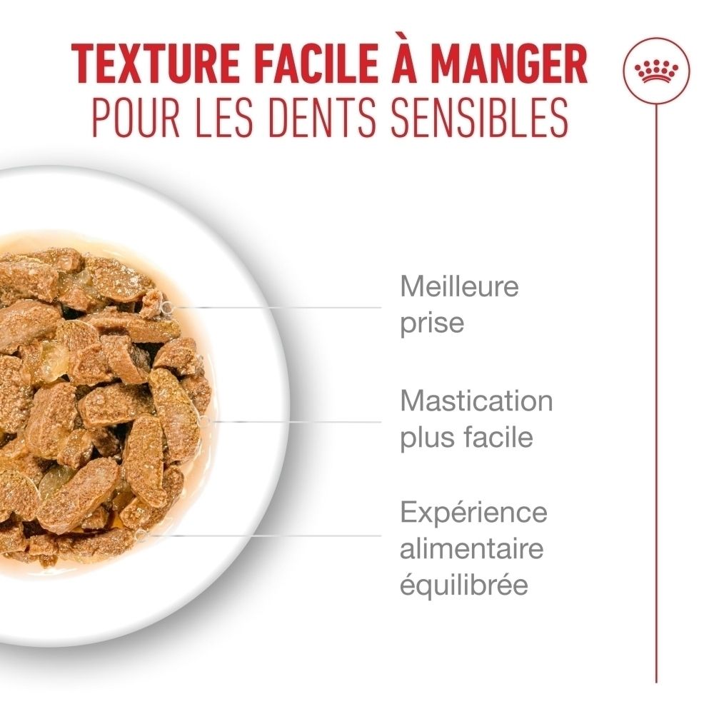 Royal Canin 11+ : Peau et pelage, aide à maintenir la santé de la peau.