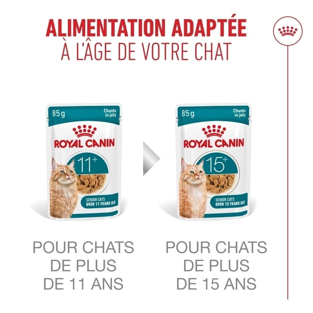 Royal Canin 11+ : Texture facile à manger pour les dents sensibles.