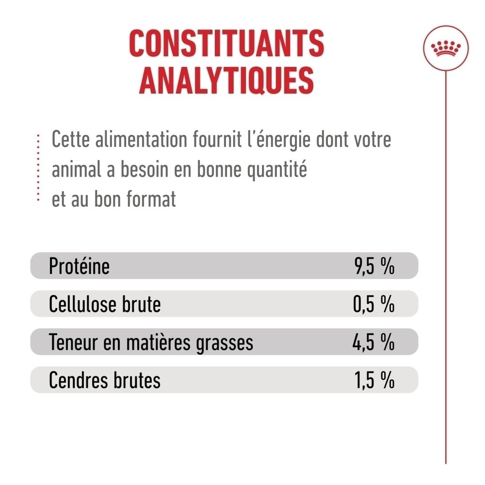 Royal Canin 11+ : Associez alimentations sèches et humides pour une expérience optimale.