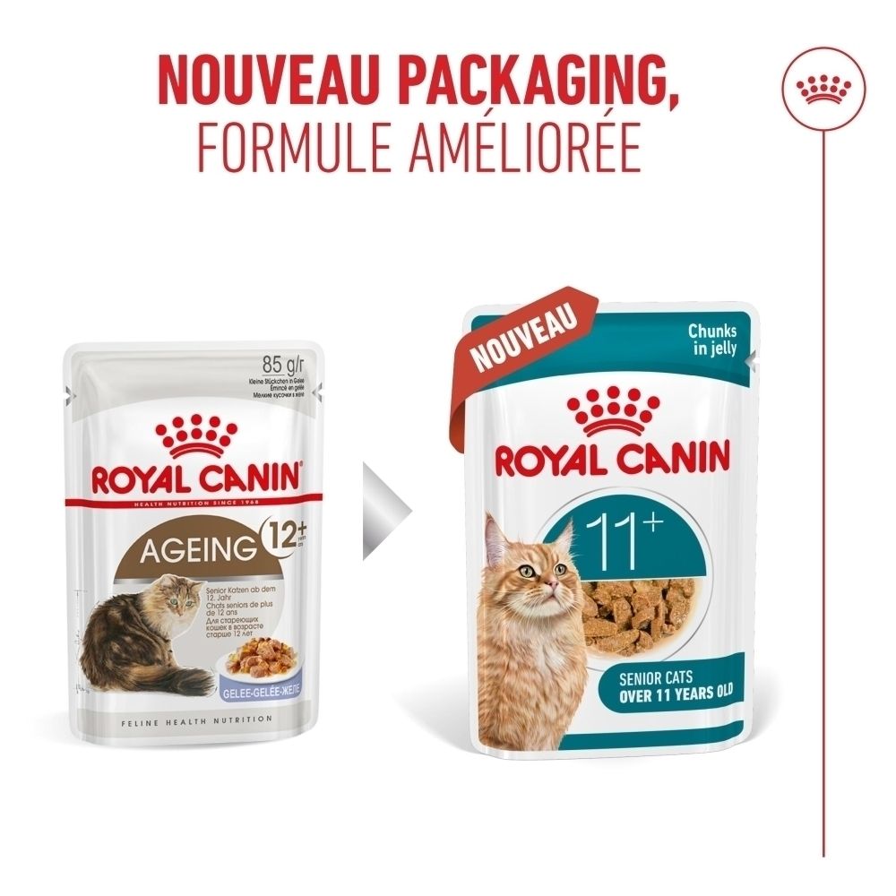 Royal Canin 11+ : Conseils d'utilisation, alimentation humide et croquettes.