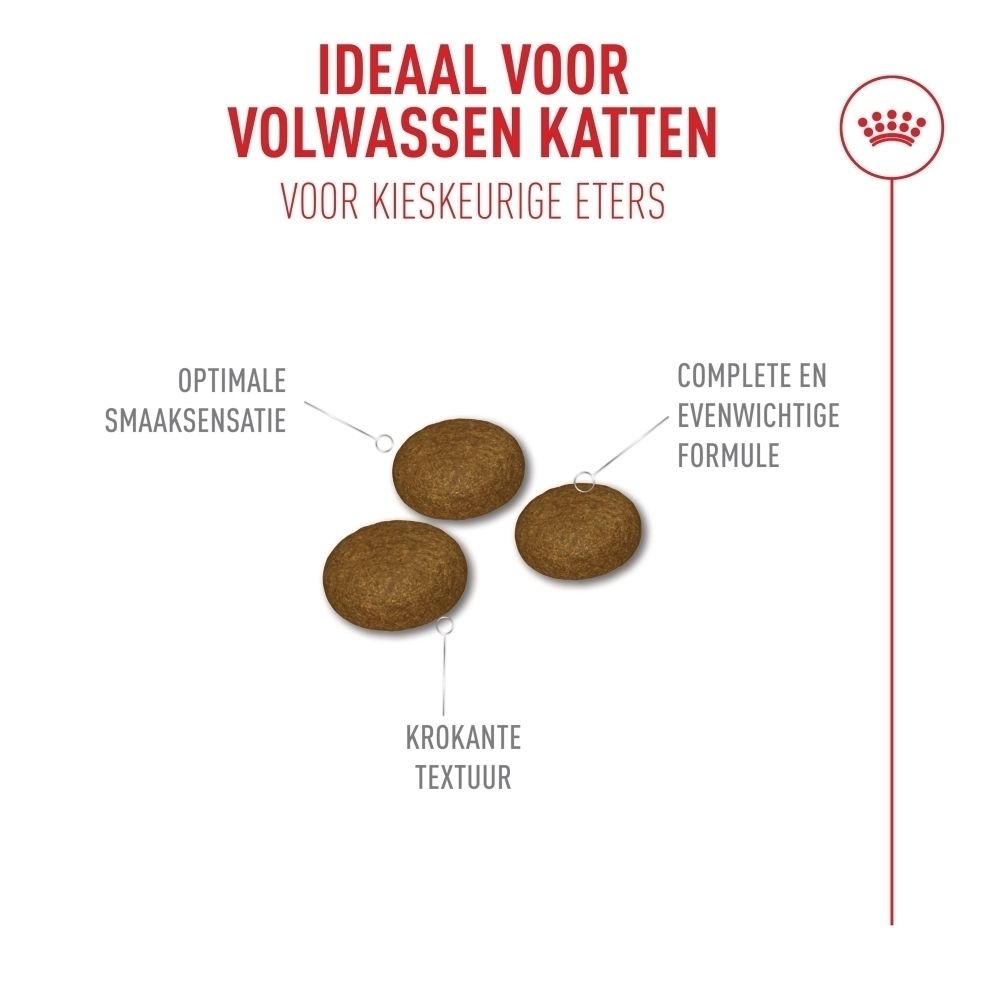 Drie ronde, bruine kattenbrokjes met labels die smaak, textuur en formule benadrukken.