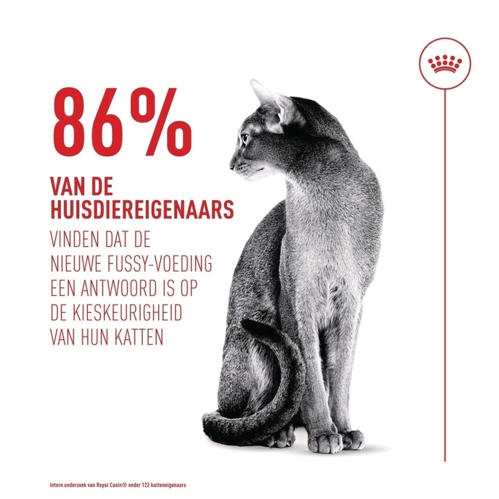 Abessijnse kat zit naast tekst met de mededeling dat 86% van de huisdiereigenaren een nieuwe voeroplossing vindt voor kieskeurige katten.