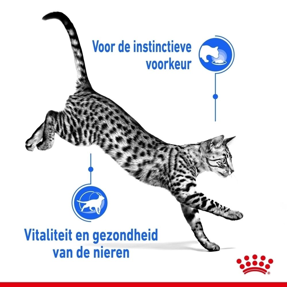 Zakje Royal Canin Indoor 7+ Sterilised kattenvoer, 85g, met afbeelding van kattenvoer.