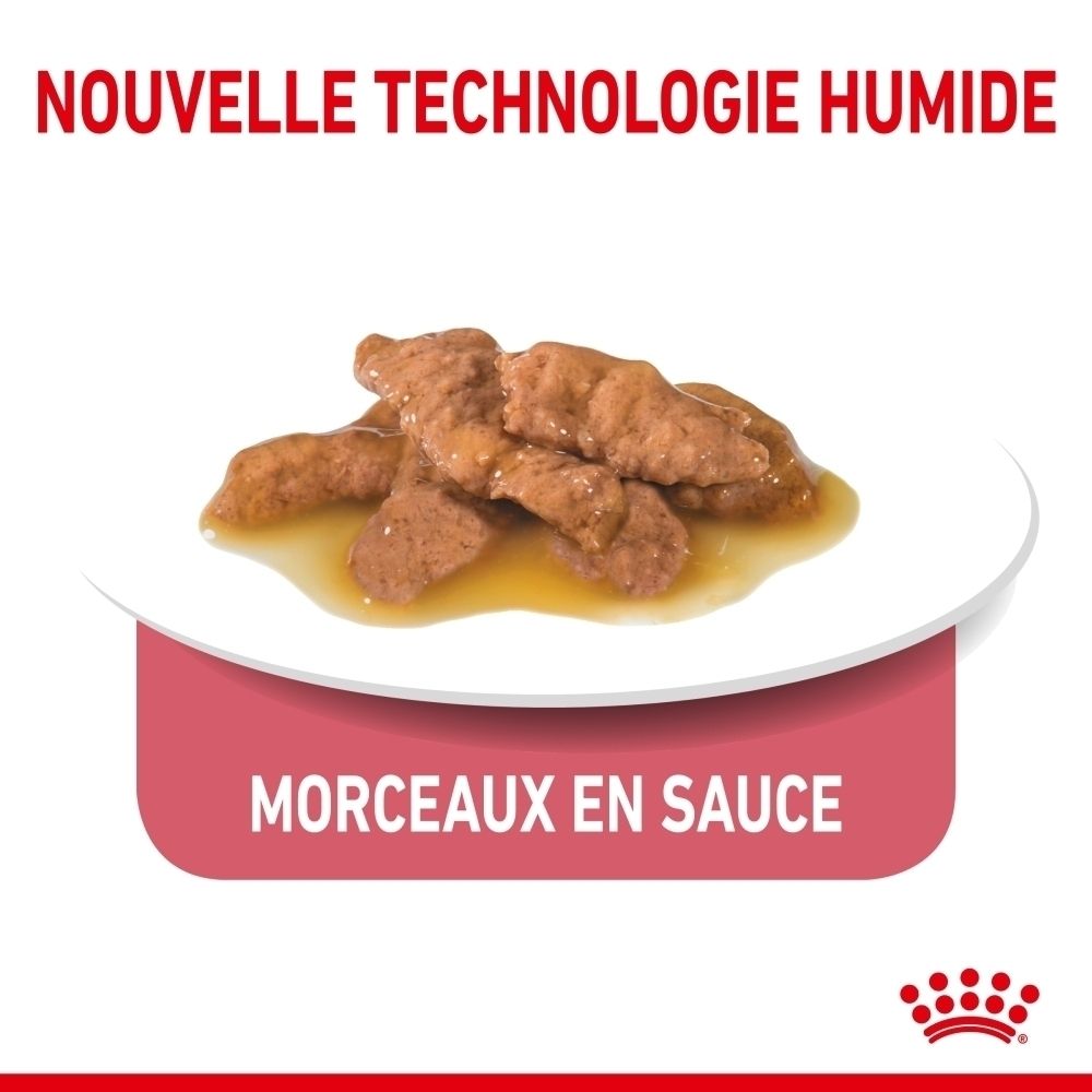 Sachet Royal Canin Indoor 7+ Sterilised pour chats, 85g, avec une image de nourriture pour chat.