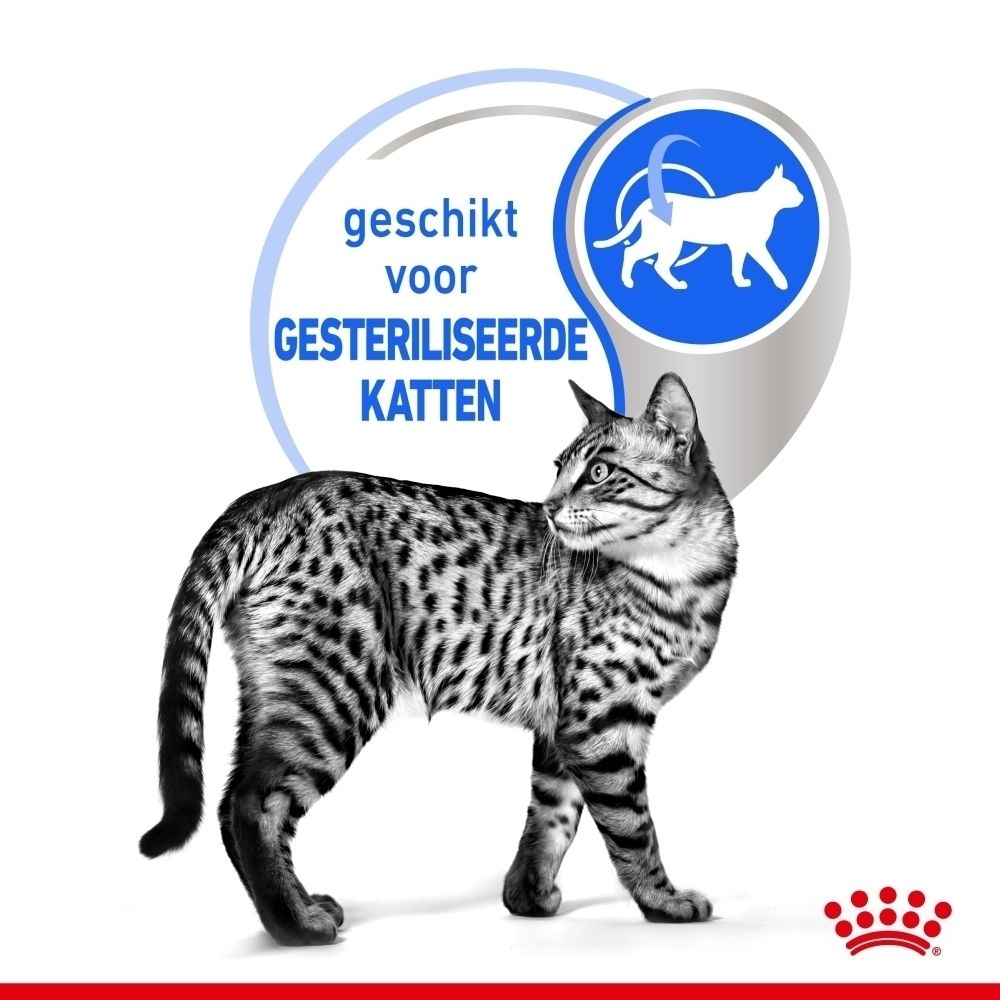 Zakje Royal Canin Indoor 7+ Sterilised kattenvoer, 85g, met afbeelding van kattenvoer.