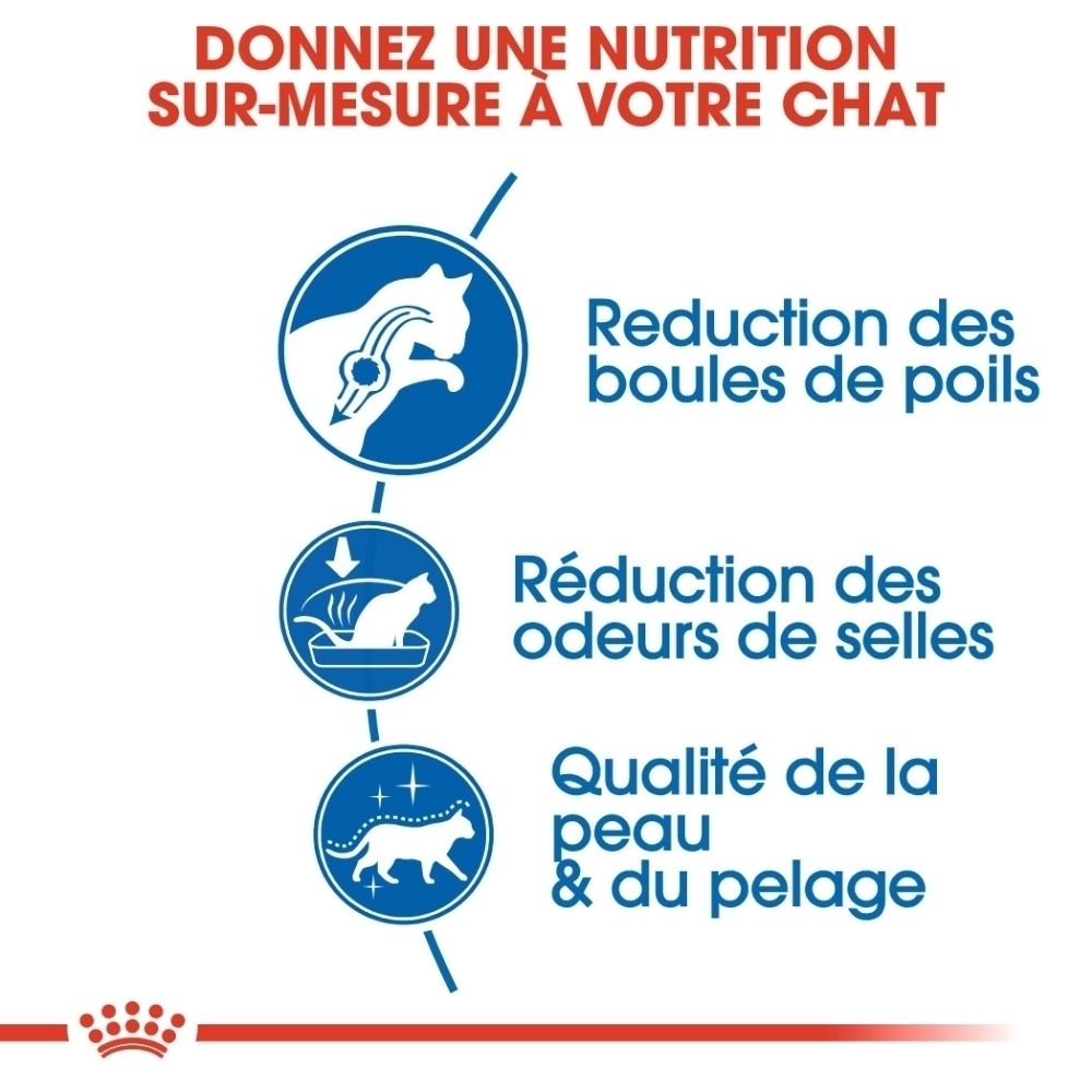 Graphique avec trois icônes : chat avec symbole digestif, chat dans une litière, chat au pelage brillant. Texte : Nutrition sur mesure pour votre chat.