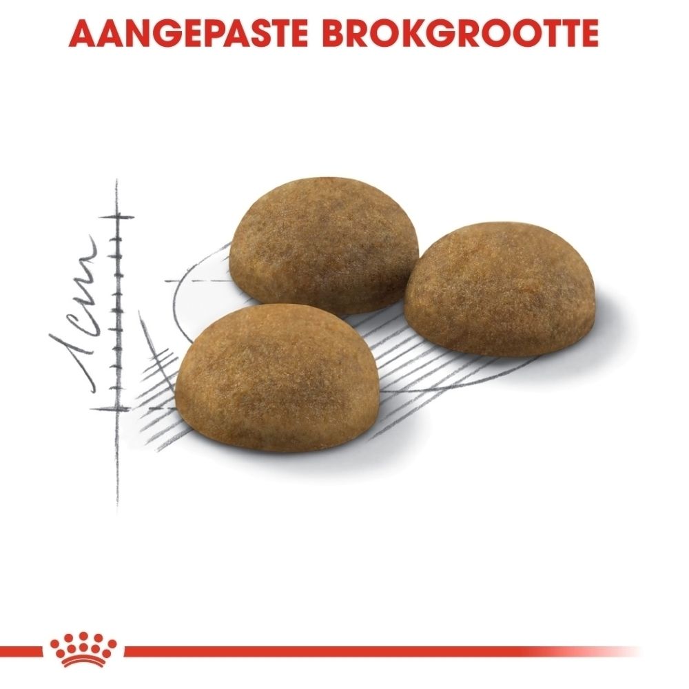 Drie ronde, bruine brokken op een technisch diagram.