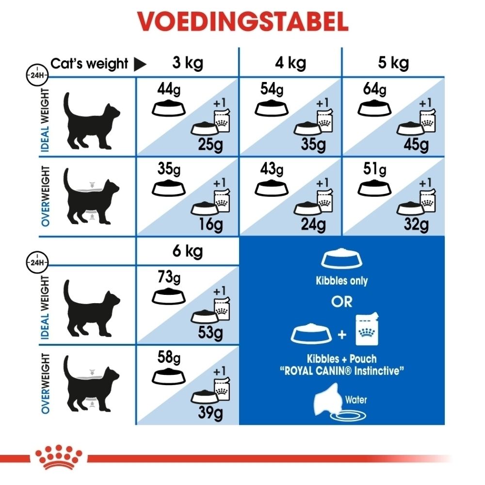 Voedingstabel voor katten: gewicht, ideaal en overgewicht, hoeveelheid voer in grammen.