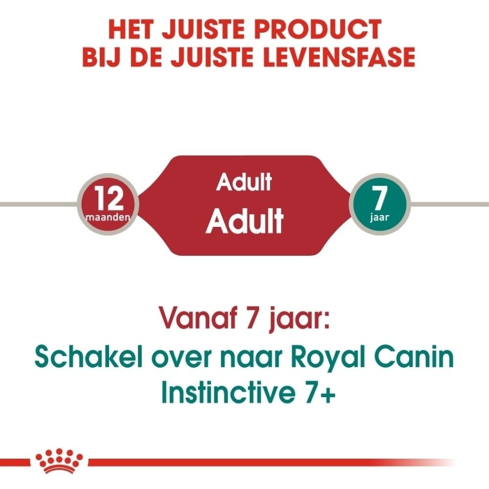 Royal Canin: Het juiste product voor elke levensfase. Voor volwassen katten vanaf 7 jaar.