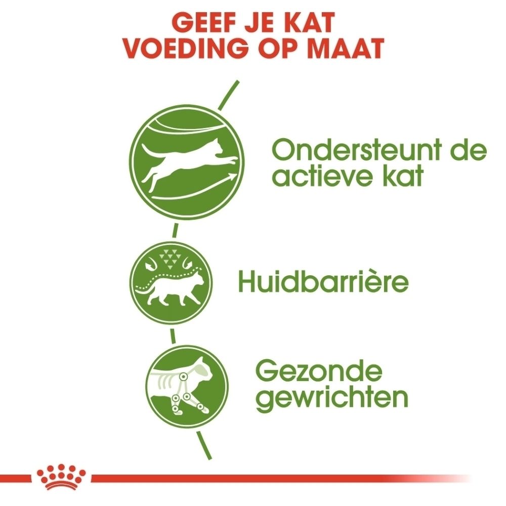 Grafiek met drie iconen: actieve kat, huidbarrière, gezonde gewrichten. Tekst: Voeding op maat voor katten.