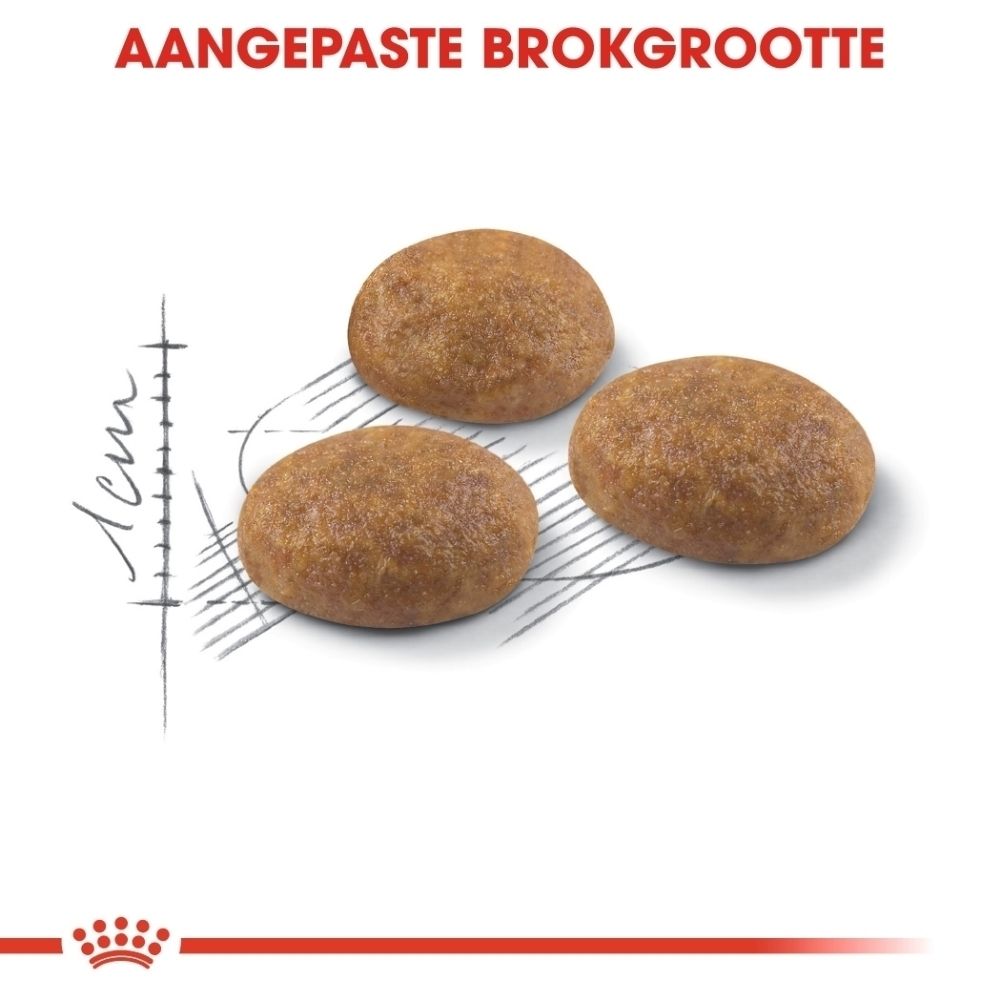 Drie bruine, ovale brokken hondenvoer op witte achtergrond met schaalverdeling.