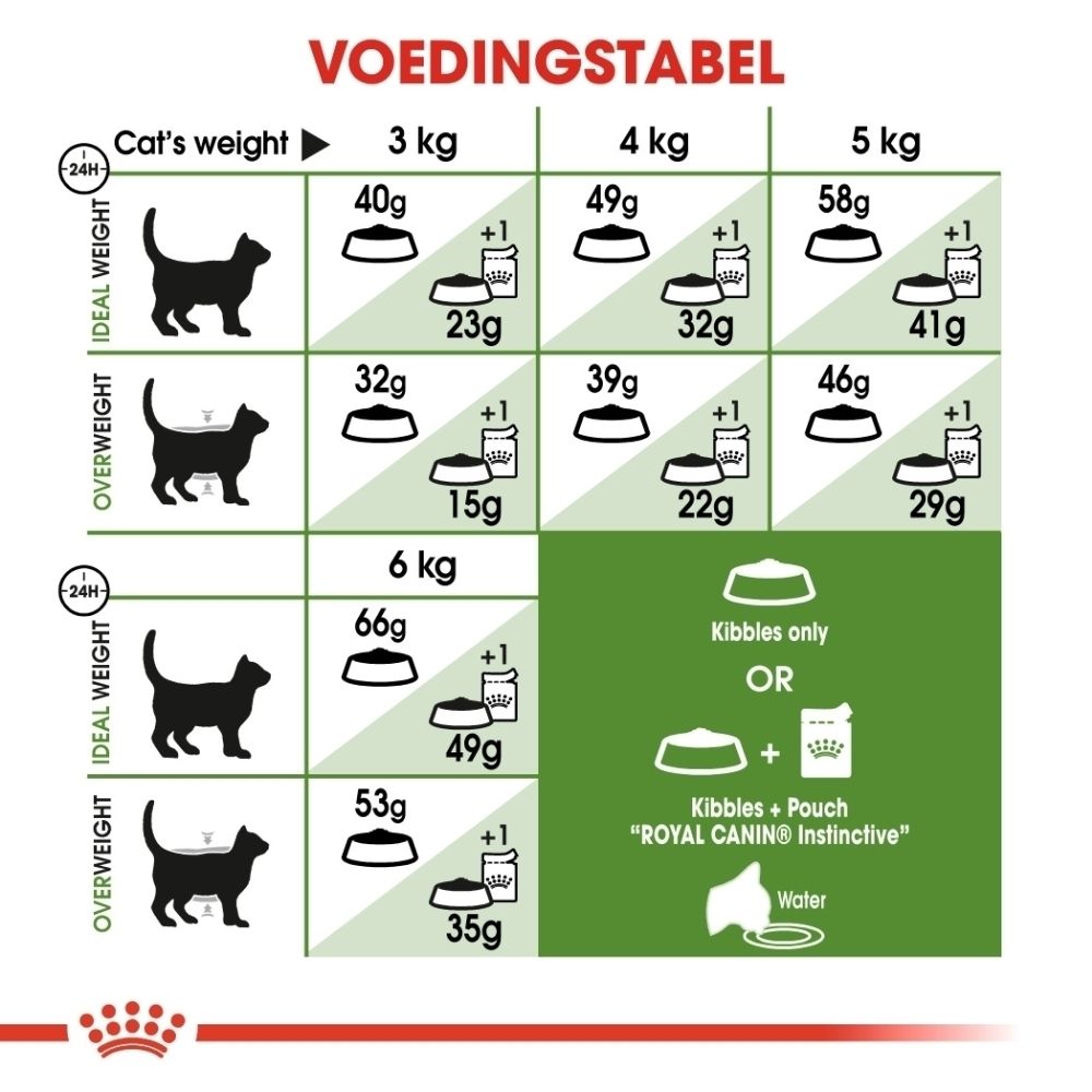 Voedingstabel voor katten: gewicht, ideaal gewicht, overgewicht, hoeveelheid brokjes en zakje.