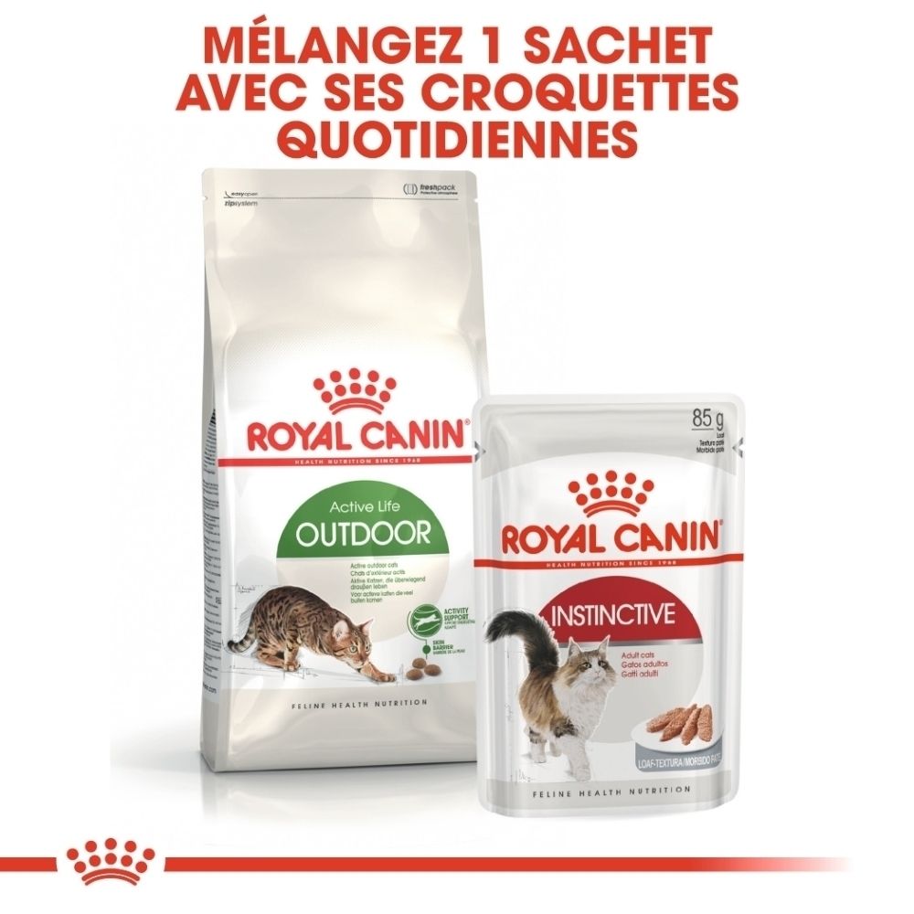 Deux paquets de nourriture pour chats Royal Canin : un grand sac 'Outdoor' et une pochette plus petite 'Instinctive'.