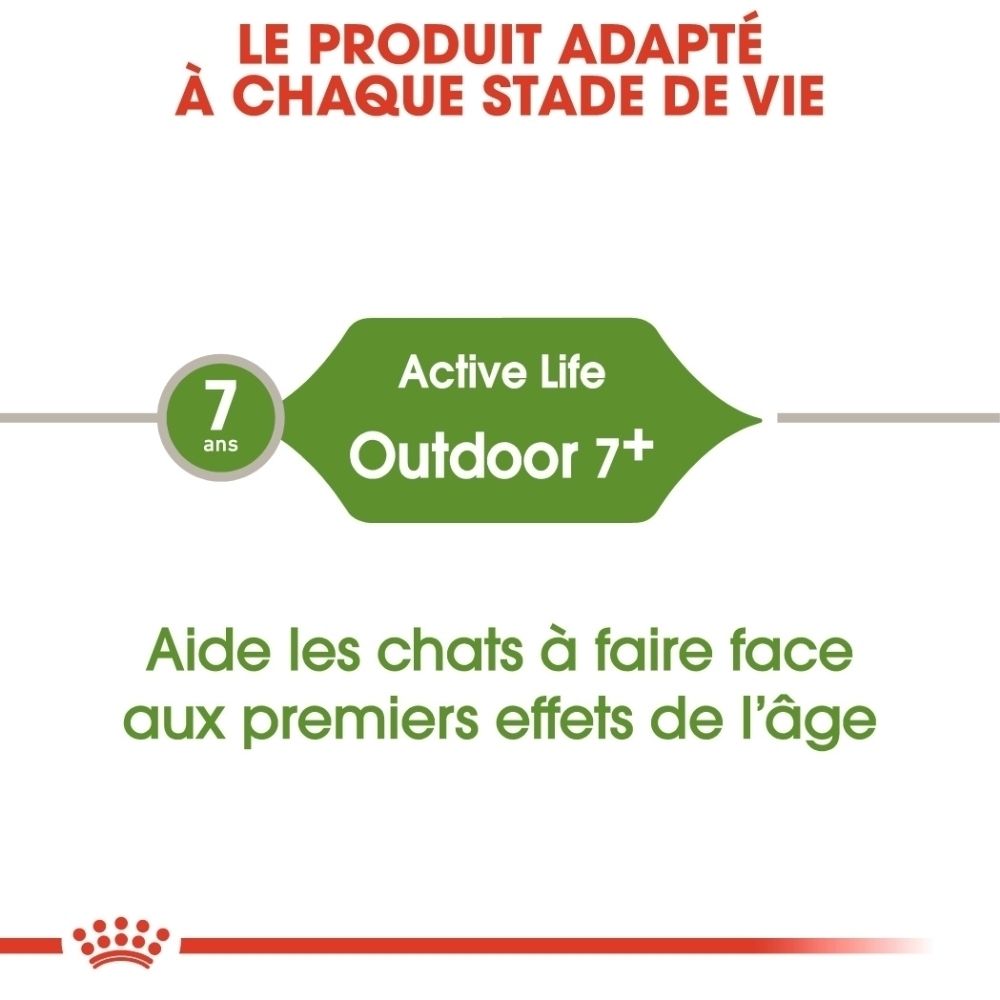Information produit : Active Life Outdoor 7+ pour chats de 7 ans et plus.