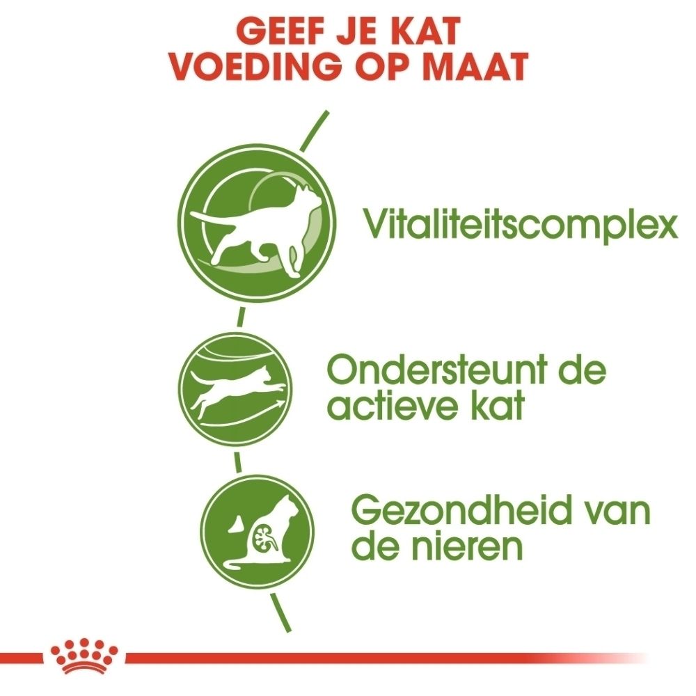 Grafiek met drie iconen: Vitaliteitscomplex, actieve kat, gezondheid van de nieren. Tekst: "Voeding op maat voor uw kat".