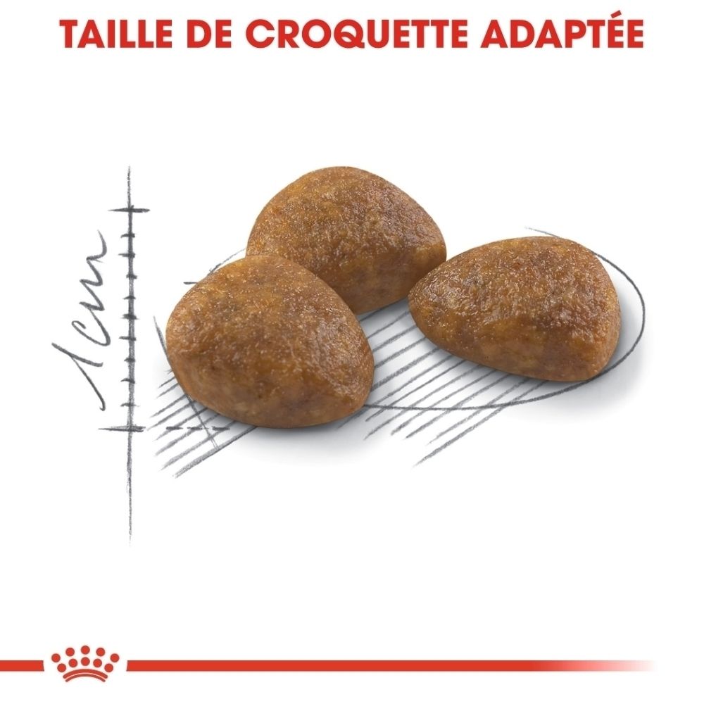 Trois croquettes brunes de forme irrégulière, avec une échelle à côté.