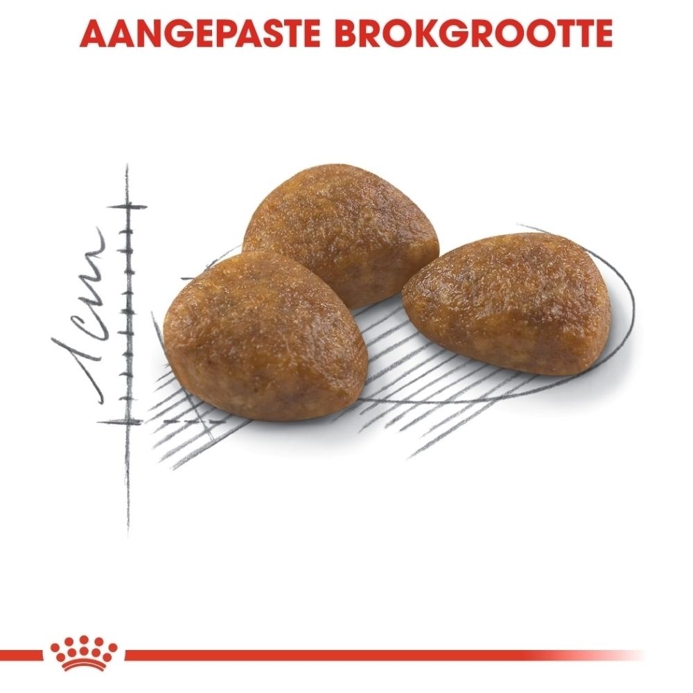 Drie bruine, driehoekige brokken met onregelmatig oppervlak, op witte achtergrond.