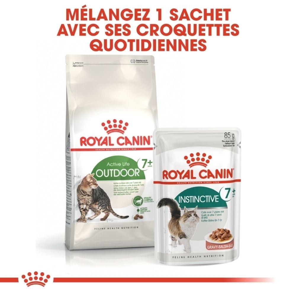 Deux paquets de nourriture pour chats Royal Canin : un grand sac et une pochette plus petite de 85g.