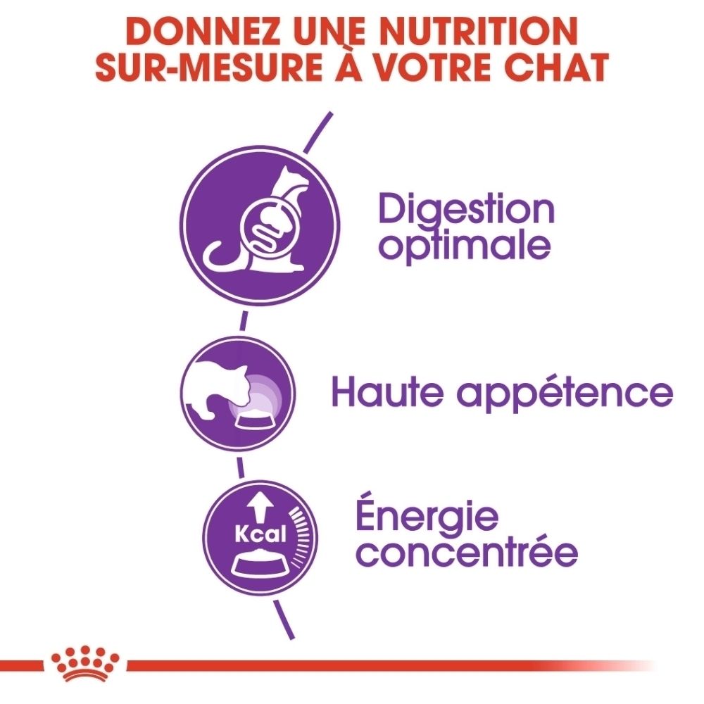 Graphique avec trois icônes : Digestion, Appétence, Énergie. Texte : Nutrition sur mesure pour votre chat.