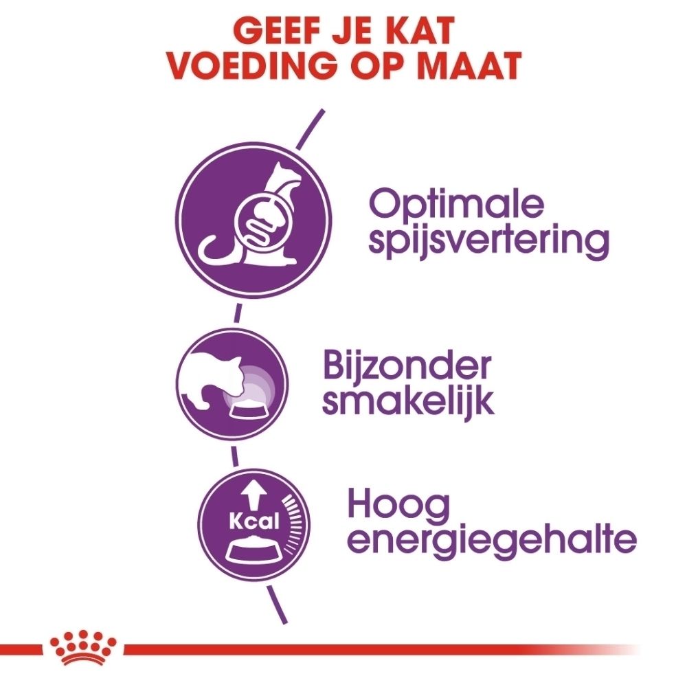 Grafiek met drie iconen: spijsvertering, smakelijk, hoge energie. Tekst: "Geef je kat voeding op maat".