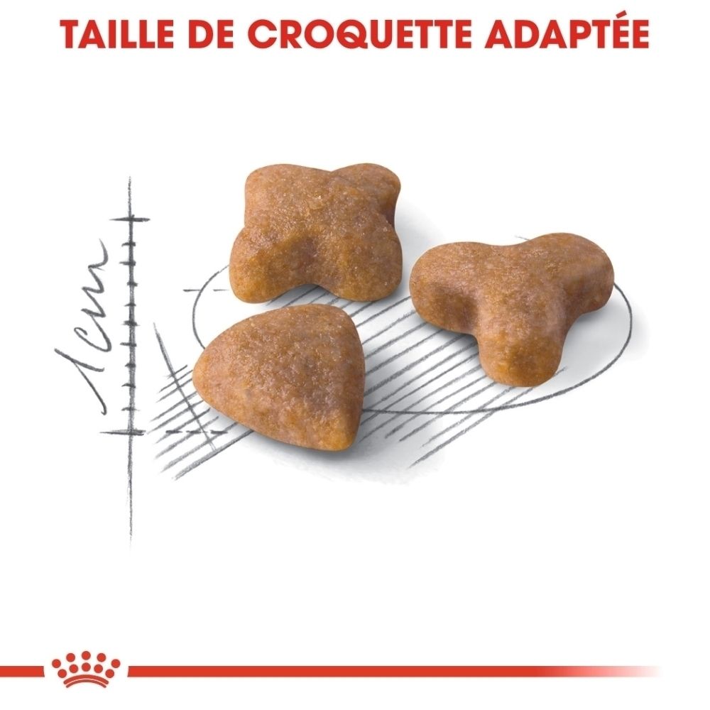 Trois croquettes brunes de formes variées sur fond blanc avec des dessins techniques.