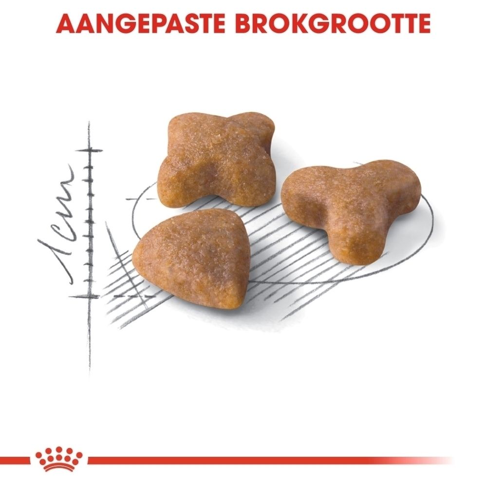 Drie bruine, onregelmatig gevormde brokken voor huisdieren op een witte achtergrond met technische tekeningen.