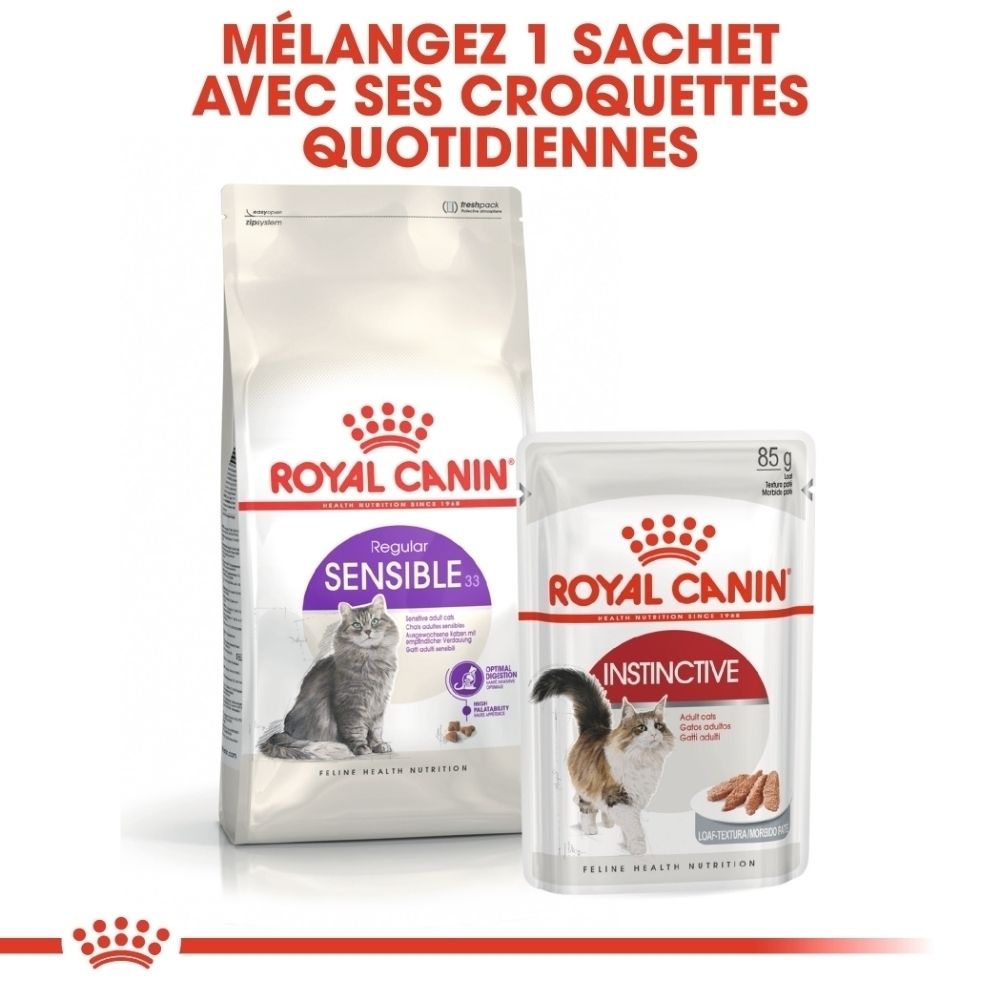 Deux paquets de nourriture pour chat Royal Canin : un grand sac et une pochette.