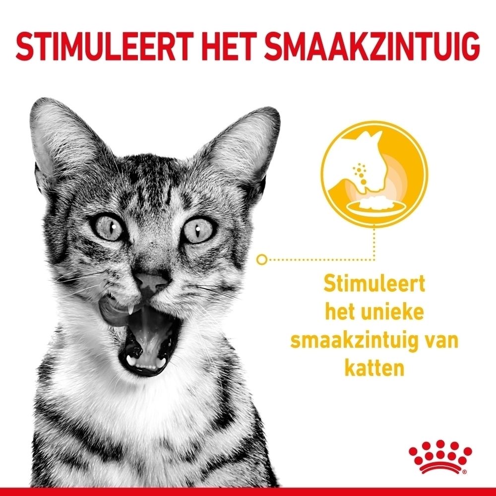 Kat likt aan lippen, tekst: Stimuleert de smaakzin.
